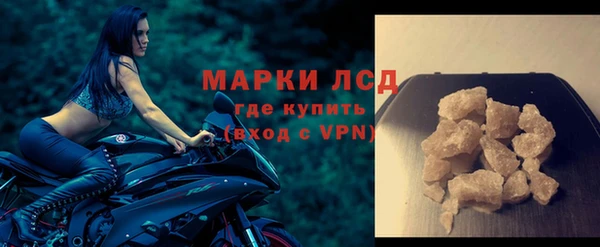 apvp Гусев