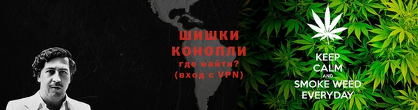 apvp Гусев