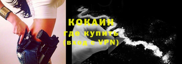 apvp Гусев