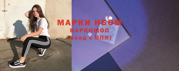 apvp Гусев