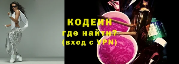 apvp Гусев