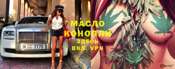 apvp Гусев