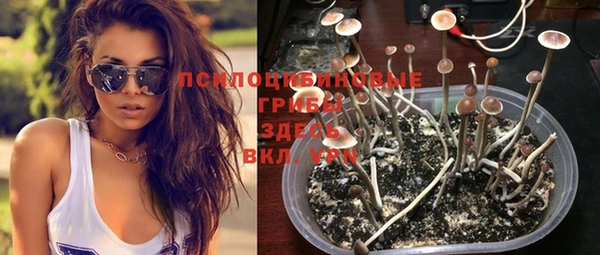 прущая мука Гусь-Хрустальный