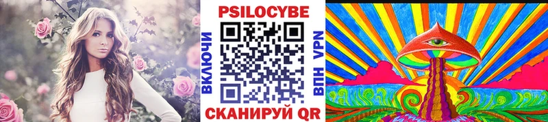 Псилоцибиновые грибы GOLDEN TEACHER  цена наркотик  Юрга 